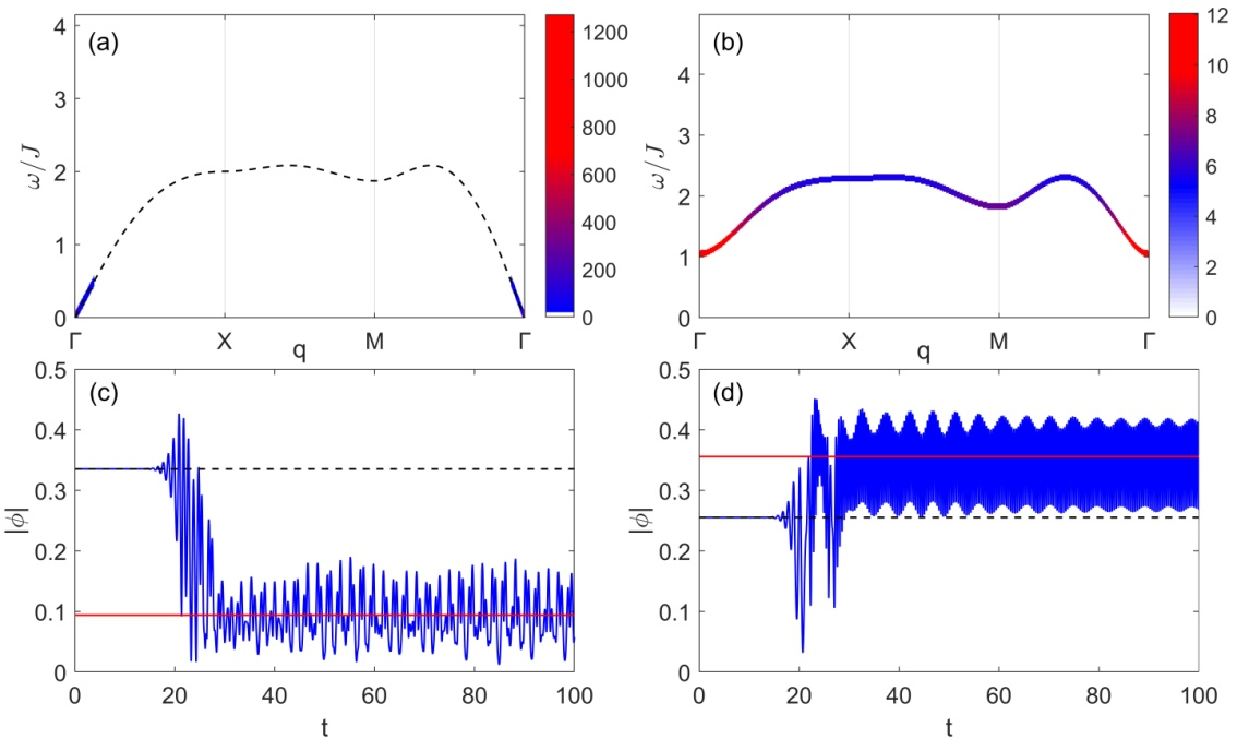 Amplitude envelope curve and spectrogram of nightingale call types